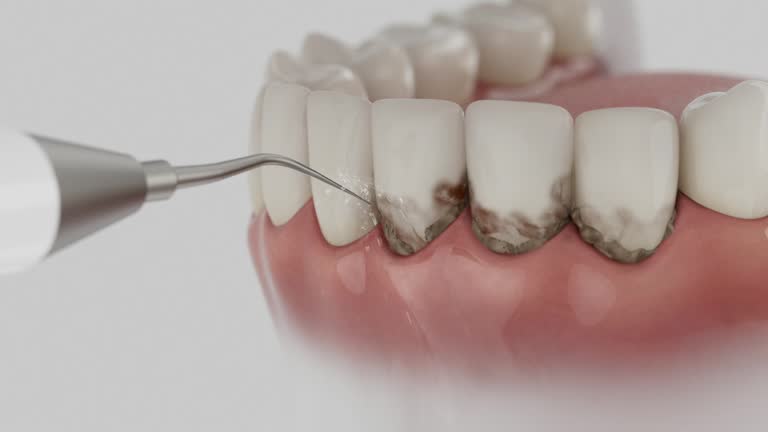 Reliable Dental contractor in Springdale, NC by Dentist Open Now